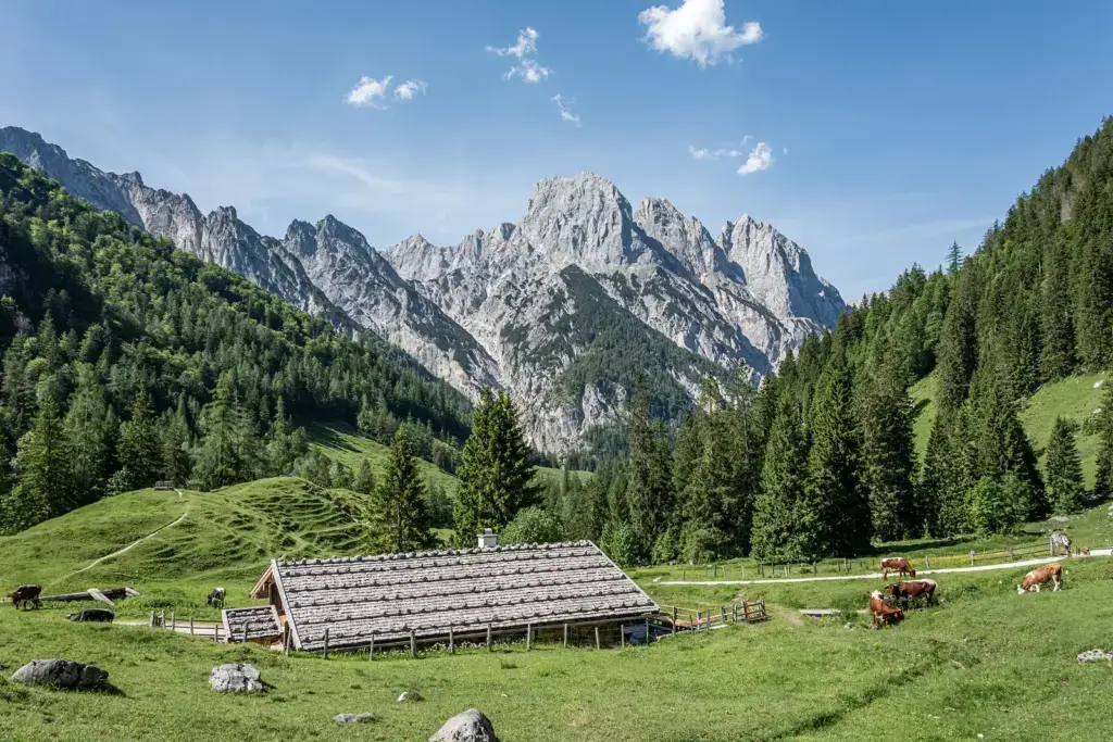 Bindalm im Klausbachtal mit weidenden Kühen und Reiter Alm