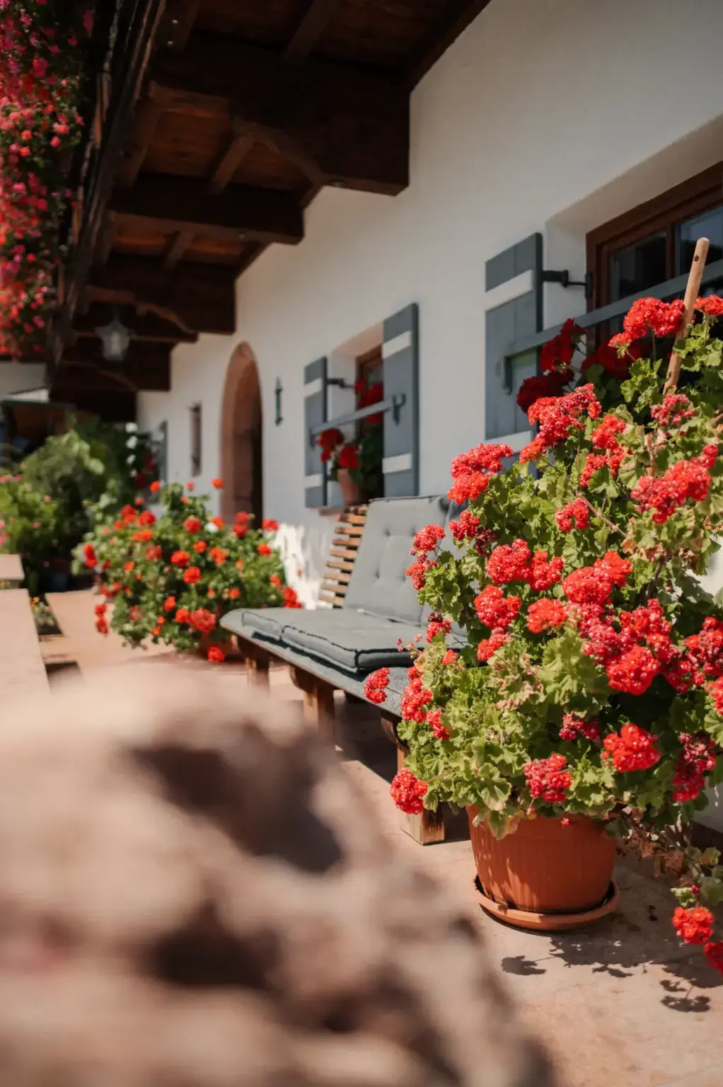 Eingangsbereich mit Geranien am Alpenhotel Hundsreitlehen