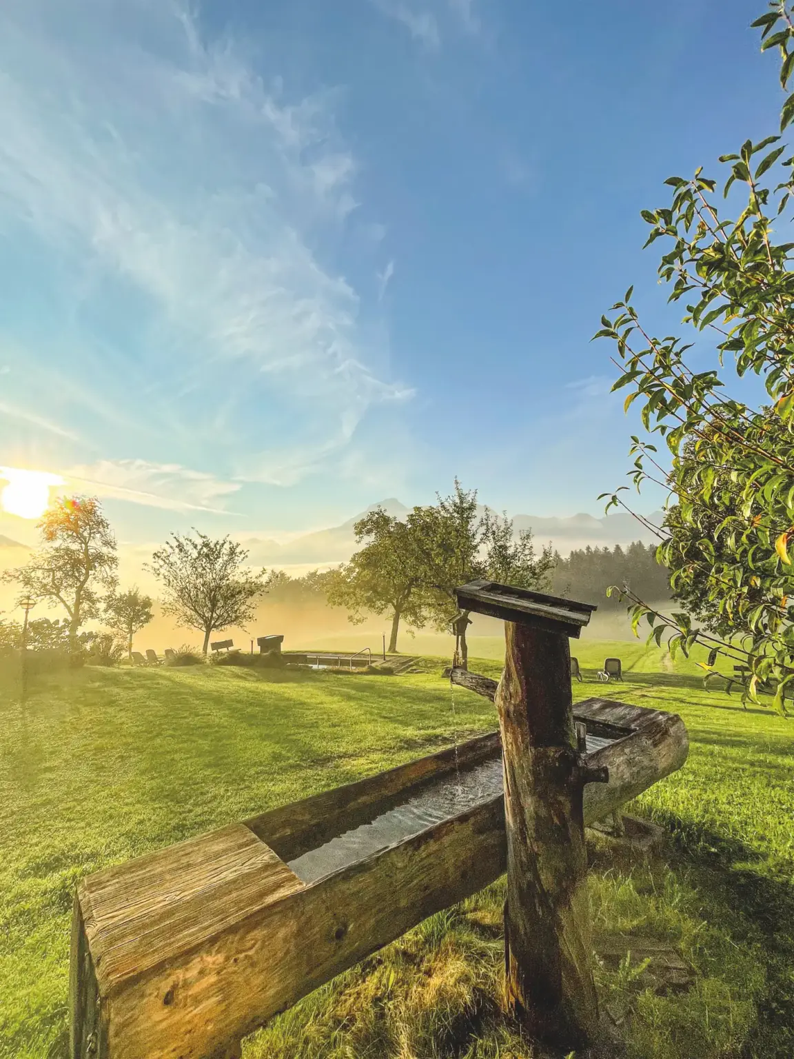 Holzbrunnen auf der Wiese am Hundsreitlehen im Morgenlicht