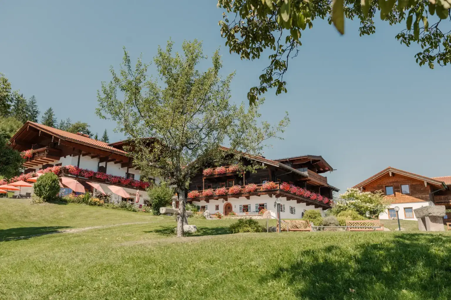 Alpenhotel Hundsreitlehen hinter der Obstwiese im Sommer, Bischofswiesen