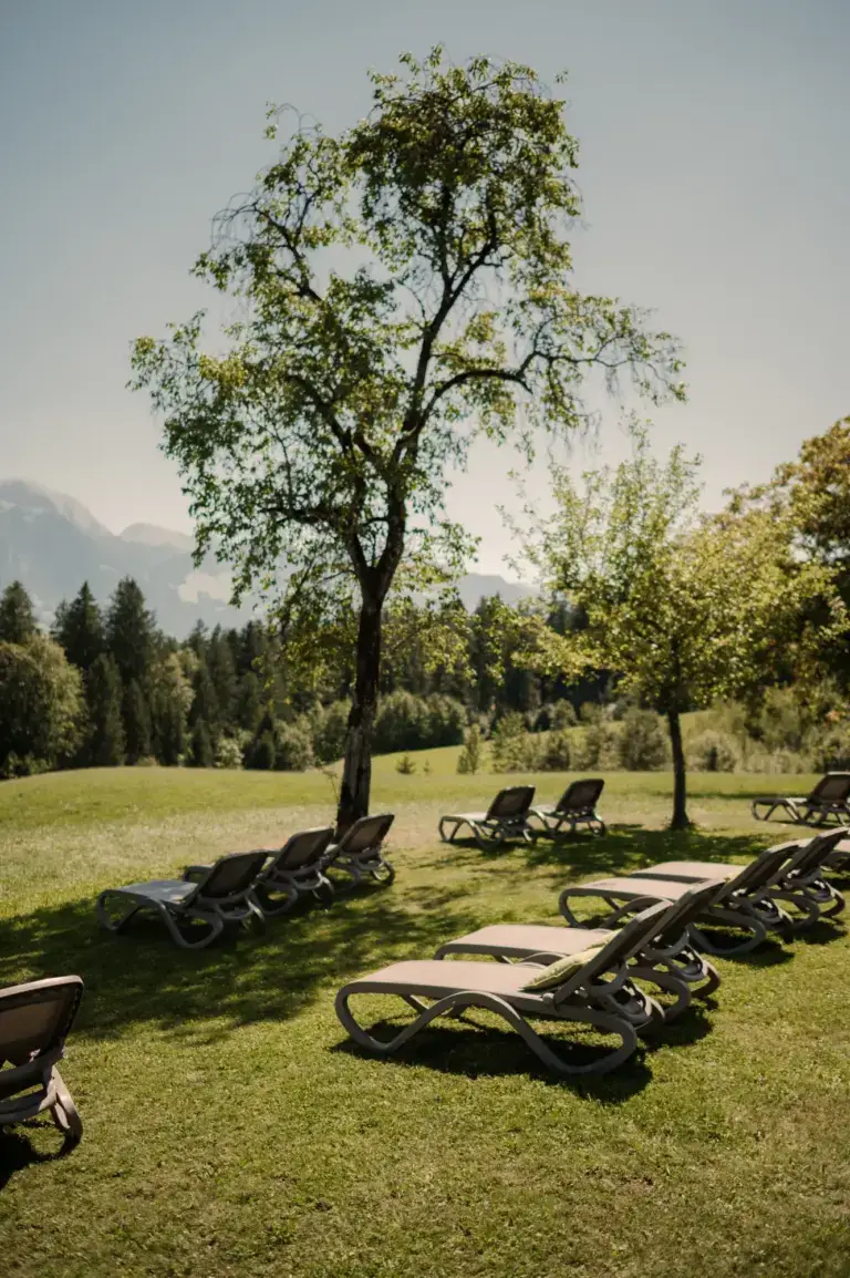 Obstbaum und Liegen auf der Liegewiese des Alpenhotels Hundsreitlehen