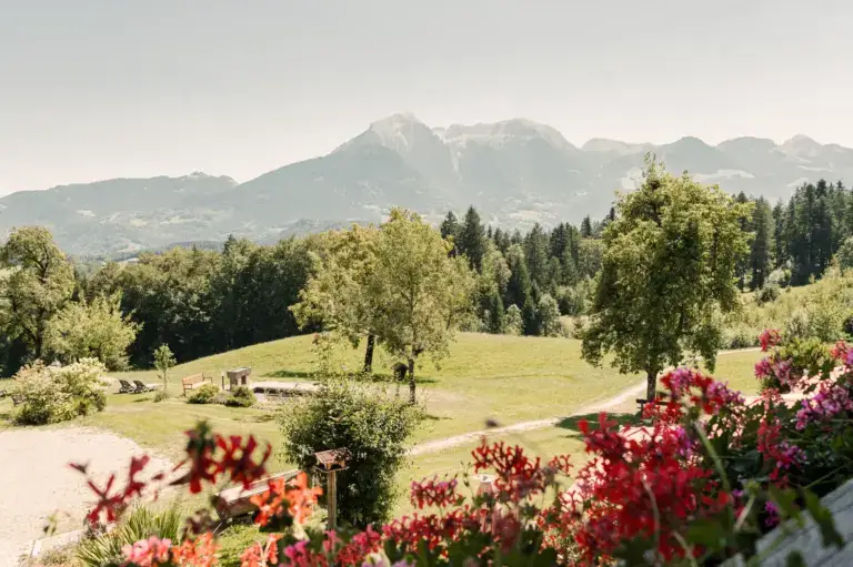 Panoramablick über Blumen und Wiesen des Hundsreitlehen auf die Berchtesgadener Berge