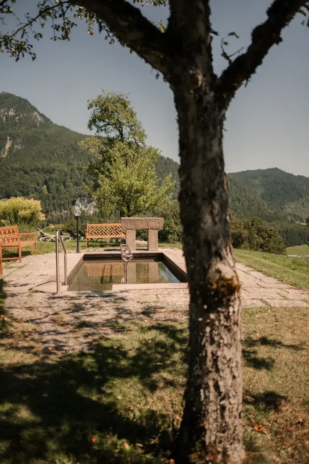 Ruheplatz unter einem Baum auf der Bergwiese mit Blick in die Berge