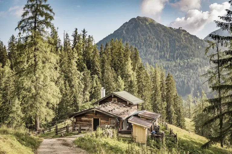 Priesbergalm mit Kaser im Sommer unter dem Jenner
