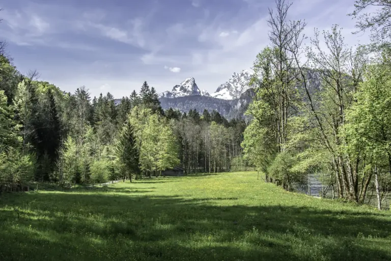 Frühlingsgrüne Lichtung mit Blick auf den Watzmann